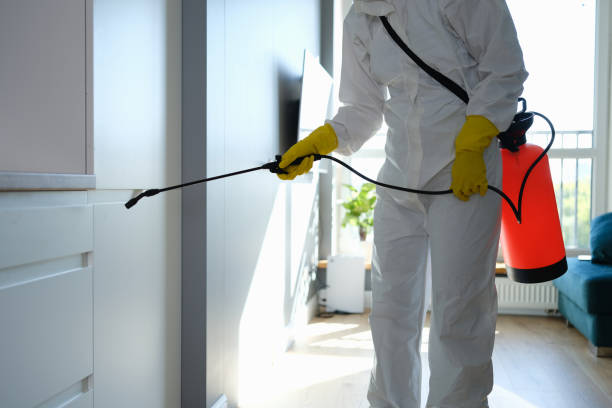 Why You Should Choose Our Mold Remediation Services in Peabody, KS